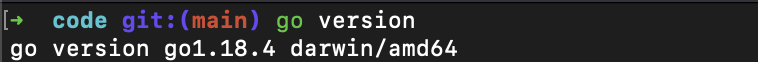 go-version-command.png